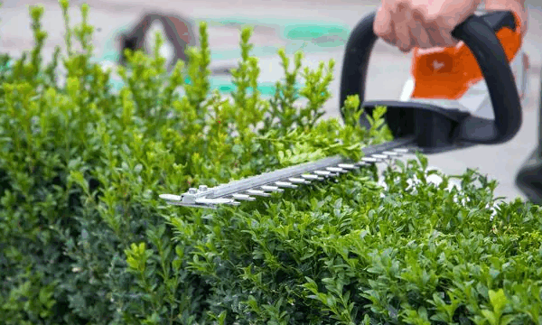 Gartenarbeiten