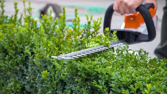 Gartenarbeiten